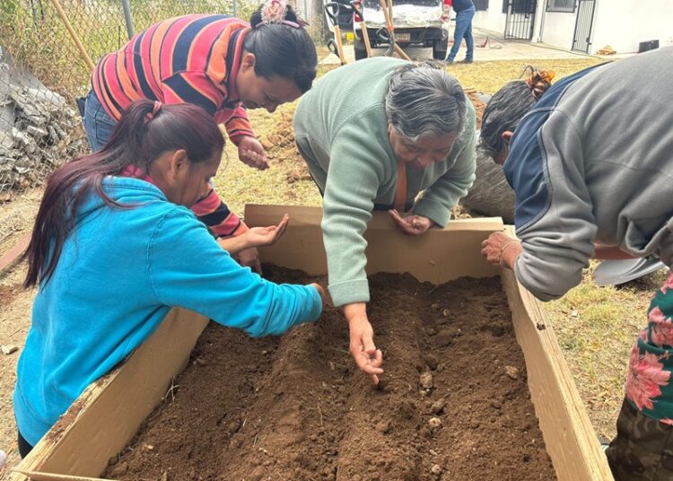 Coordinación general de gestión ambiental impulsa huertos urbanos en espacio comunitario