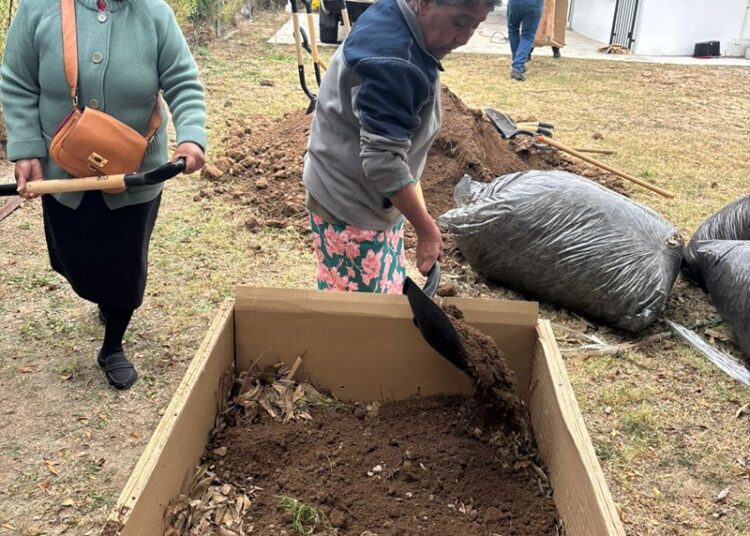 Coordinación general de gestión ambiental impulsa huertos urbanos en espacio comunitario