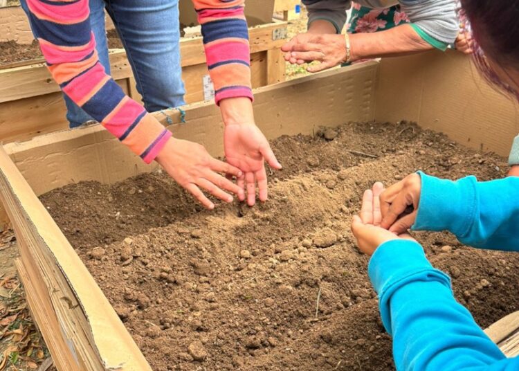 Coordinación general de gestión ambiental impulsa huertos urbanos en espacio comunitario