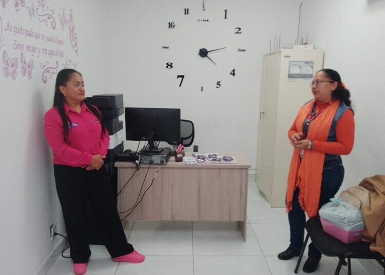 DEMA y “Casa Violeta” de Altamira suman esfuerzos para erradicar la violencia