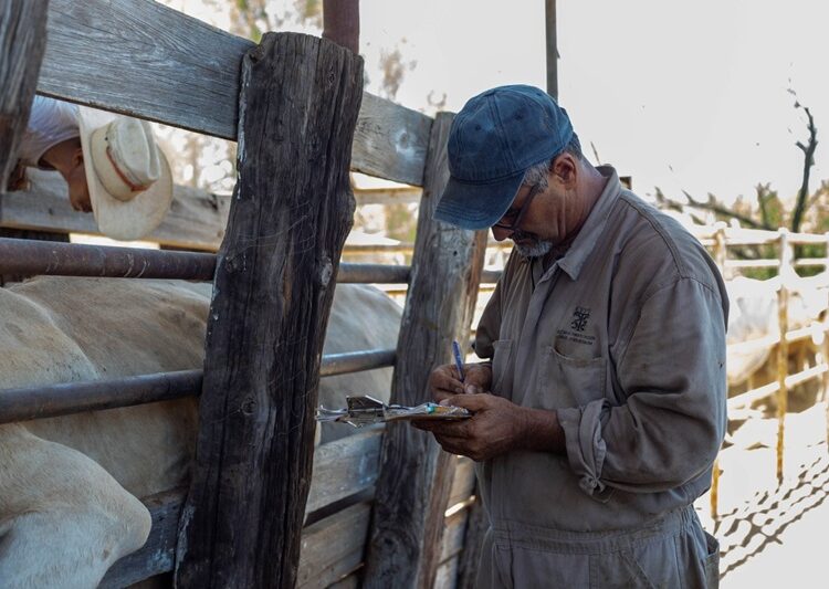 Gobierno de NLD invita a ganaderos a aprovechar programa gratuito de sanidad animal