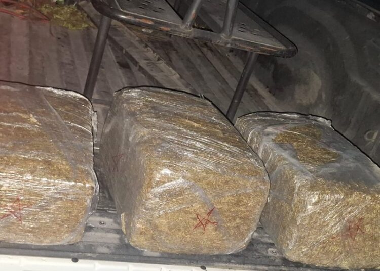 “Golpe frontal al crimen en Tamaulipas”: Más de mil detenidos en 12 meses