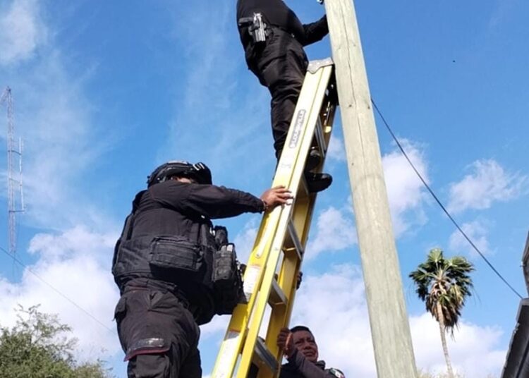 Guardia Estatal desmantela cámaras de videovigilancia ilegales en Tamaulipas