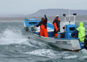 NLD fortalece su conectividad aérea con dos nuevos vuelos hacia la CDMX