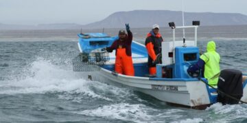 NLD fortalece su conectividad aérea con dos nuevos vuelos hacia la CDMX