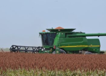 Garantizan abasto médico frente al repunte de infecciones invernales