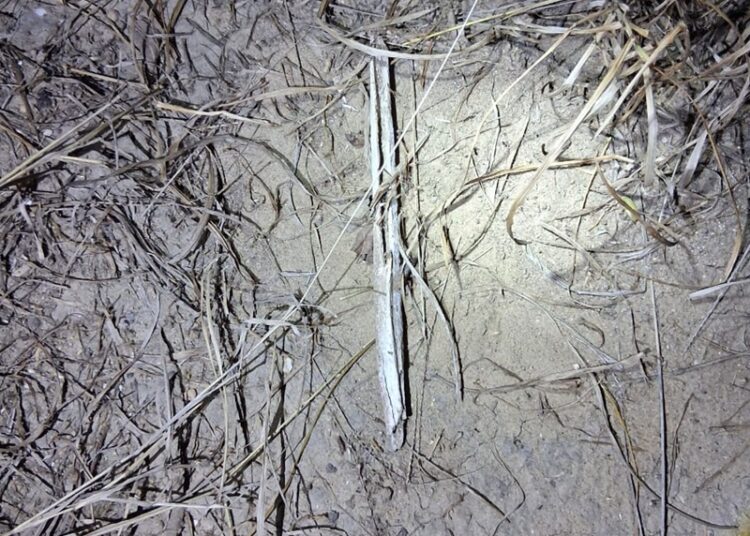 Inicia 2026 con nuevo hallazgo de restos humanos en Reynosa