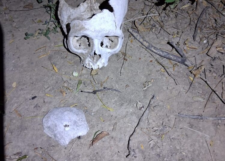 Inicia 2026 con nuevo hallazgo de restos humanos en Reynosa