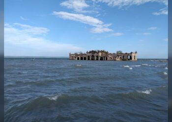 Señala CODHET abuso contra maestra de preescolar de Tamaulipas