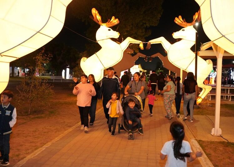 Más de 400 mil personas disfrutaron del ‘Viveros Mágico’ durante la temporada