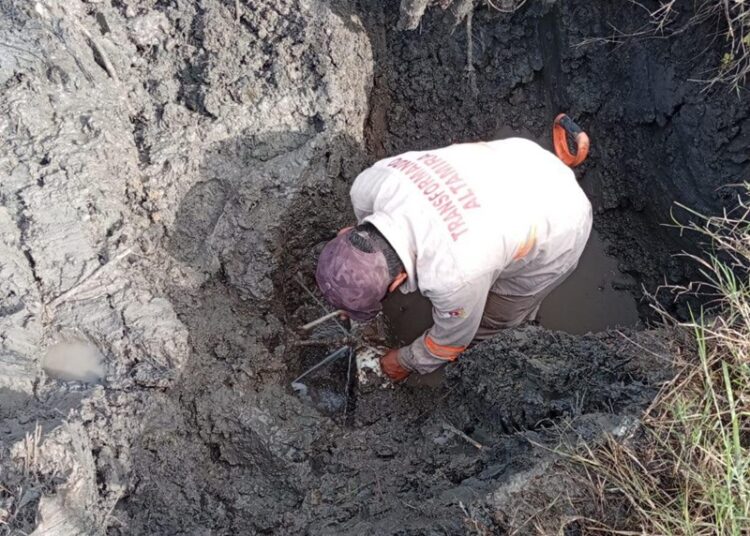 Mejora COMAPA Altamira servicios de agua y drenaje en colonia Felipe Carrillo Puerto