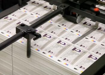 Suspenden exhibición de capibara en el Tamatán para evitar otra muerte