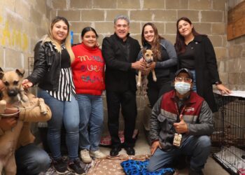 Protege Gobierno de Altamira a animales en situación de calle