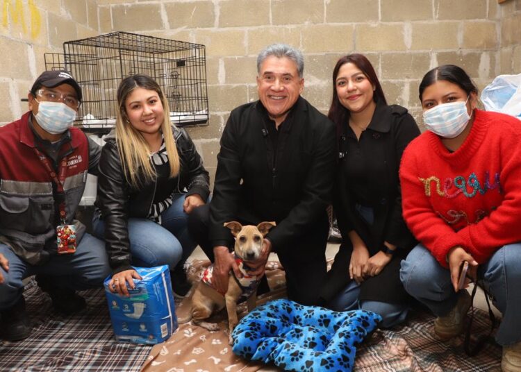 Protege Gobierno de Altamira a animales en situación de calle