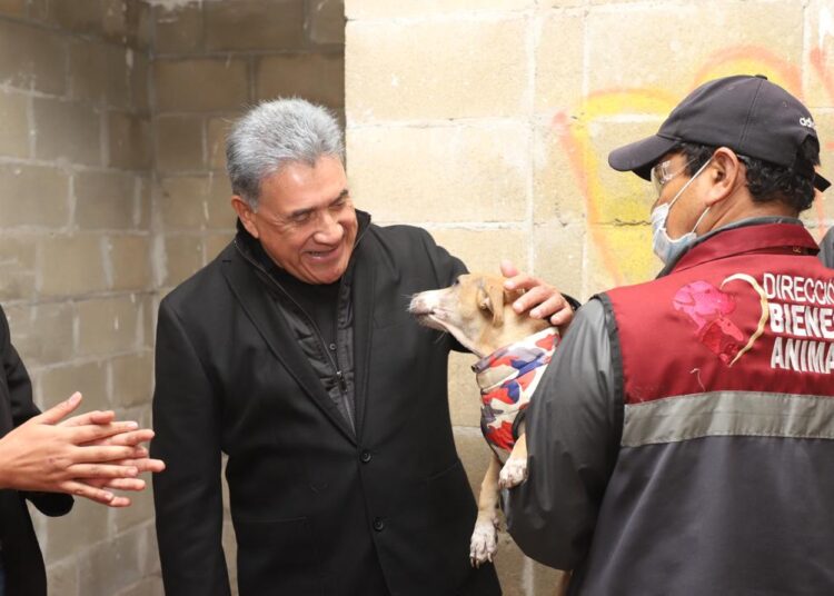 Protege Gobierno de Altamira a animales en situación de calle