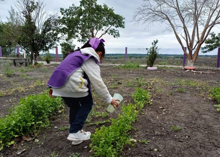 Siembra DIF Altamira hábitos saludables en la niñez