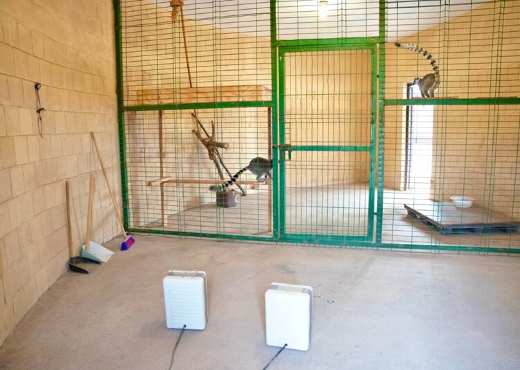 Zoo de NLD refuerza medidas de protección animal ante bajas temperaturas