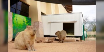 Zoo de NLD refuerza medidas de protección animal ante bajas temperaturas