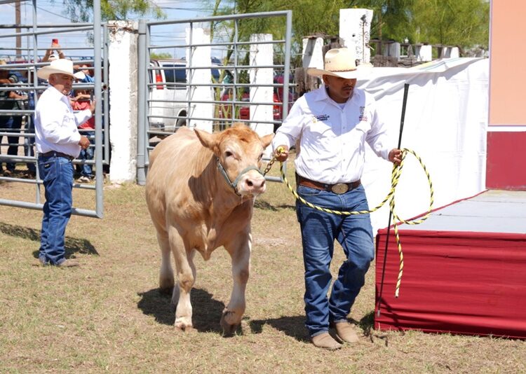 Abre Gobierno de NLD convocatoria para programa de mejoramiento ganadero