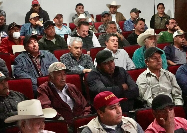 Avanza Tamaulipas en la prevención del gusano barrenador del ganado