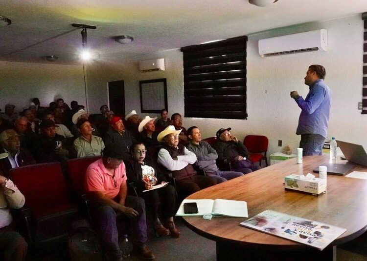 Avanza Tamaulipas en la prevención del gusano barrenador del ganado