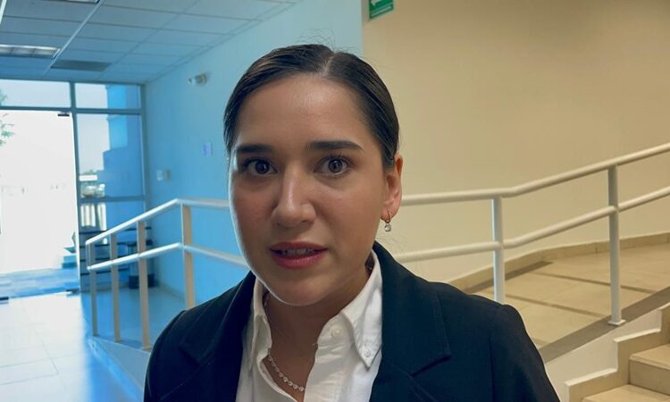 Busca Congreso endurecer penas de cárcel por pornografía infantil en Tamaulipas