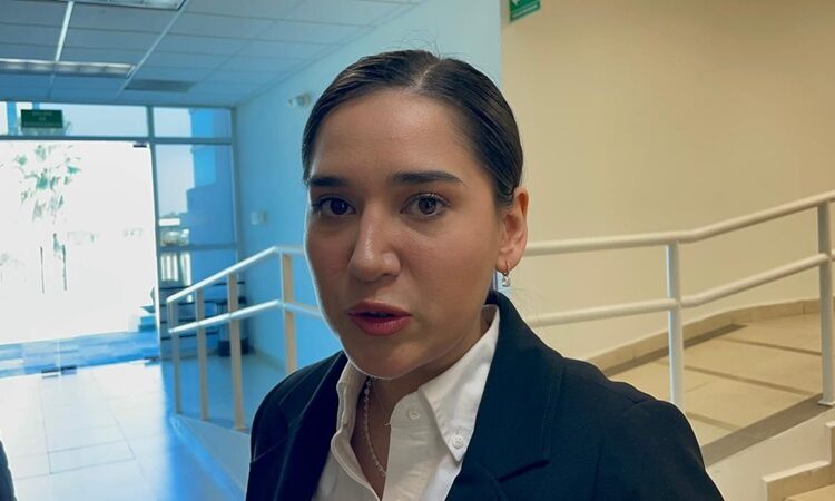 Busca Congreso endurecer penas de cárcel por pornografía infantil en Tamaulipas