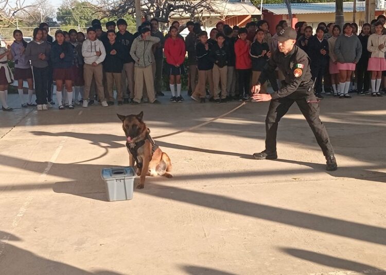 Con binomio canino antidrogas la Guardia Estatal refuerza la prevención en escuelas