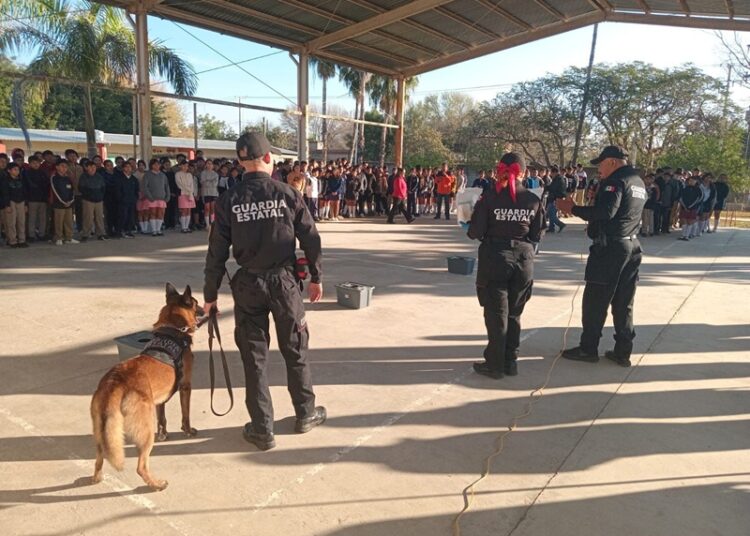 Con binomio canino antidrogas la Guardia Estatal refuerza la prevención en escuelas