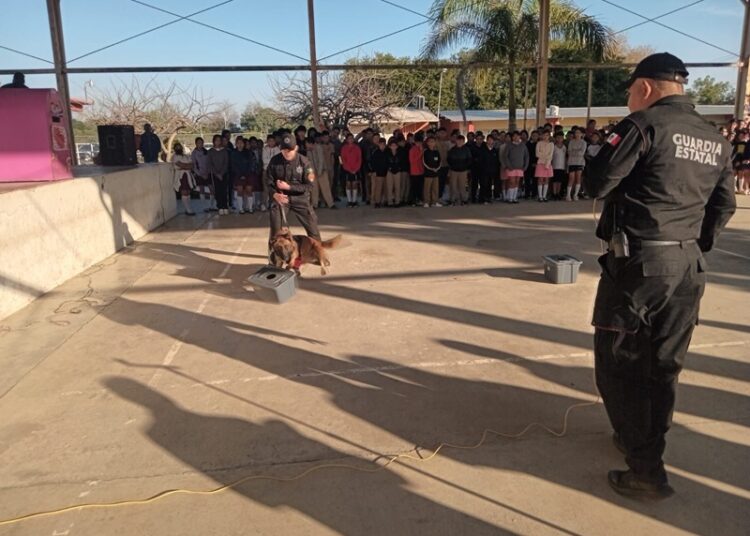 Con binomio canino antidrogas la Guardia Estatal refuerza la prevención en escuelas