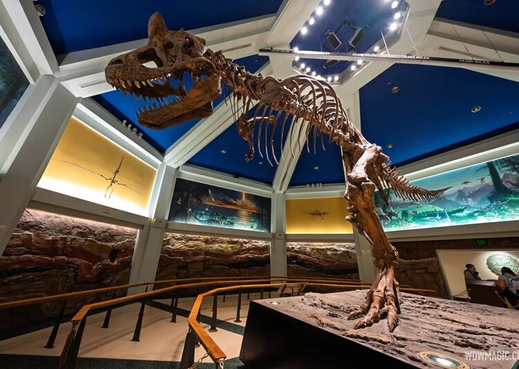 ¡Los ‘Dinosaurios’ se extinguieron en Disney World!