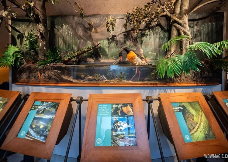 ¡Los ‘Dinosaurios’ se extinguieron en Disney World!