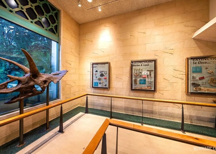 ¡Los ‘Dinosaurios’ se extinguieron en Disney World!