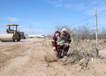 Encabeza Gobierno de NLD rehabilitación de caminos ejidales para fortalecer el desarrollo rural