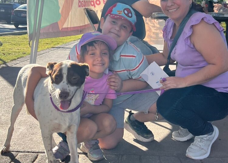 Gobierno de NLD invita a ‘Feria de Adopción Canina’ en Plaza Zaragoza