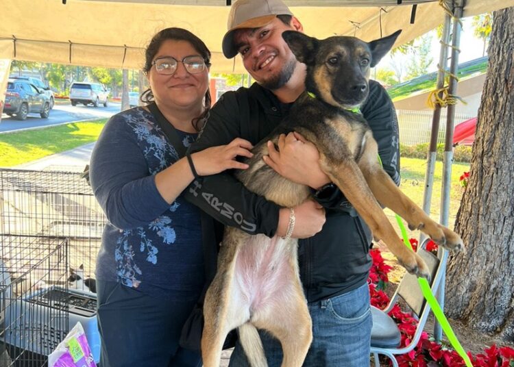 Gobierno de NLD invita a ‘Feria de Adopción Canina’ en Plaza Zaragoza