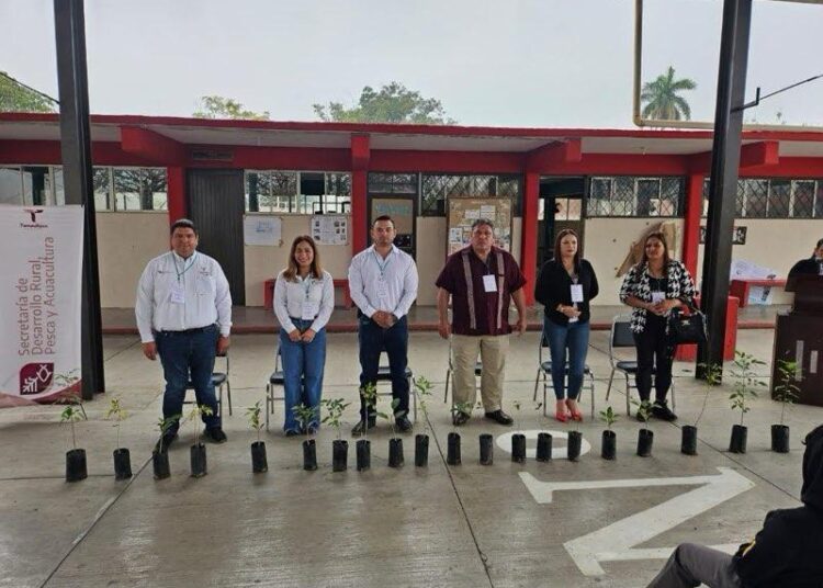 Impulsan en Tamaulipas cultura forestal desde las aulas