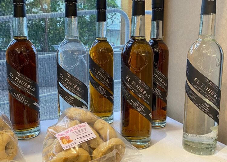 “Jiménez ya está en ‘Punto Tamaulipas’, visítalo y conoce su esencia”: Turismo