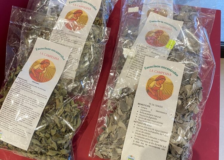 “Jiménez ya está en ‘Punto Tamaulipas’, visítalo y conoce su esencia”: Turismo