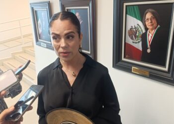 Prevén abandono masivo del sorgo por falta de apoyos al campo tamaulipeco