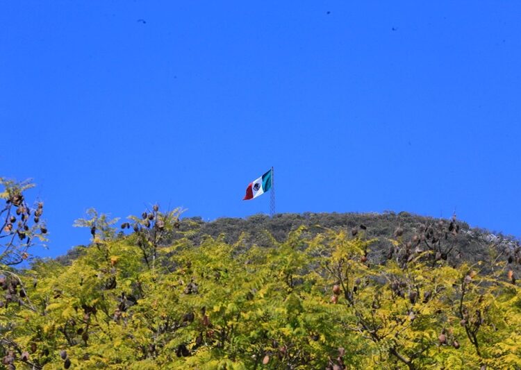 “Nada puede oponerse a un pueblo unido”: Américo