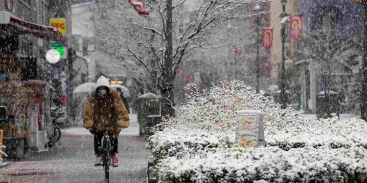 La ola de frío provoca nevadas superiores a la media en Japón