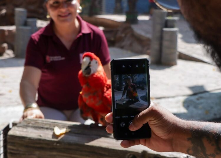 Ofrece Comisión de Parques ‘Zoo Visitas’