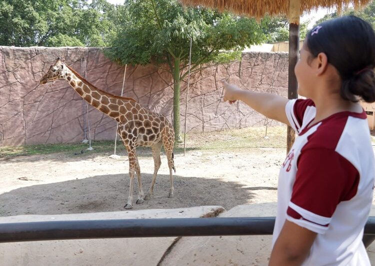 Ofrece Comisión de Parques ‘Zoo Visitas’