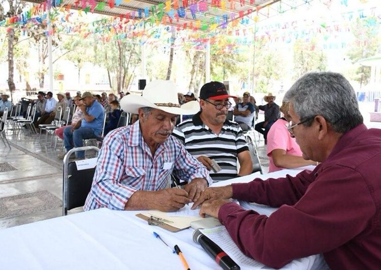Productores podrán acceder a apoyos de semilla para cultivos estratégicos