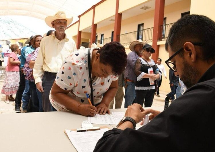Productores podrán acceder a apoyos de semilla para cultivos estratégicos