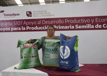 Productores podrán acceder a apoyos de semilla para cultivos estratégicos
