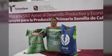 Productores podrán acceder a apoyos de semilla para cultivos estratégicos