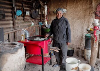 Refuerza DIF Tamaulipas el ‘Programa de Estufas Ecológicas’ en comunidades rurales