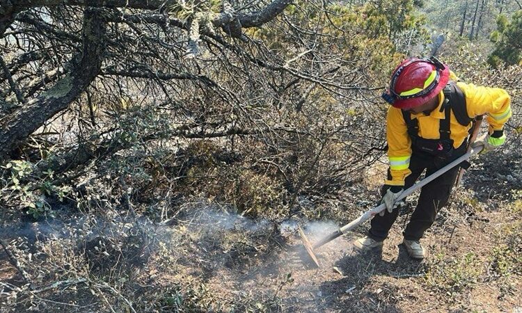 Refuerza Gobierno del Estado acciones coordinadas para el control de incendio forestal en Miquihuana
